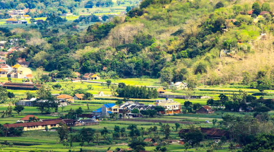 Nuestros servicios de alquiler de coches ofrecen una diversa selección de vehículos en Yogyakarta.